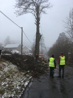 Rizikové kácení Pardubice